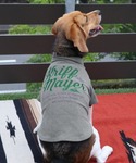 犬 服 「犬服・ストレッチ・着脱簡単」DOGも...の詳細画像1