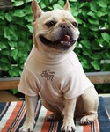 犬 服 「犬服・ストレッチ・着脱簡単」DOGも...の詳細画像3