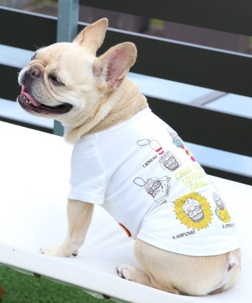 Happycharmページ 犬服ハンドメイド KRIFF MAYER（クリフメイヤー） 犬 服 「犬服・ボディー綿100%」DOG