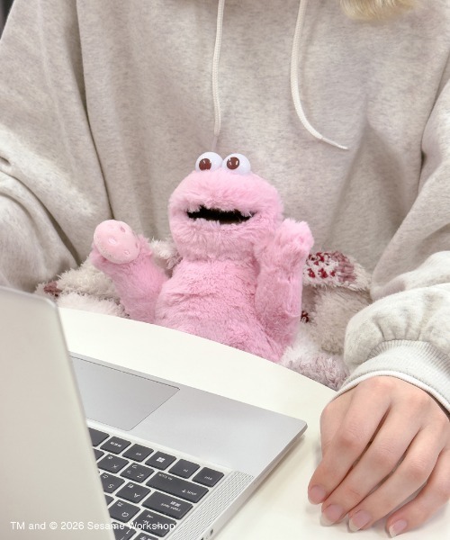 SESAME STREET（セサミストリート） おもちゃ ぬいぐるみS クッキー