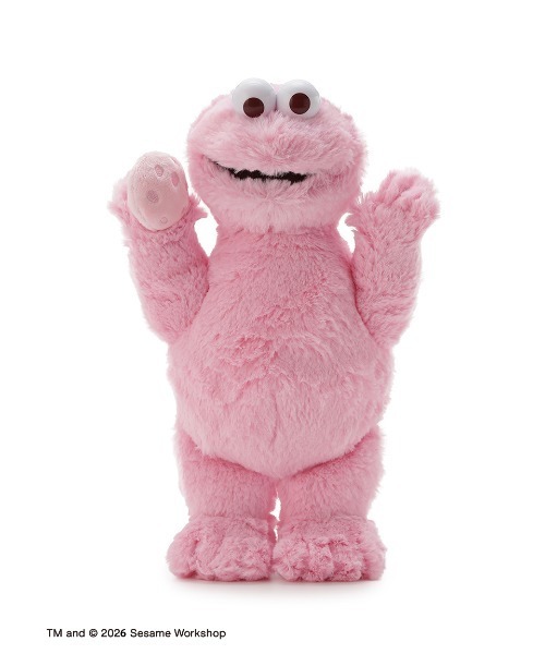 SESAME STREET（セサミストリート） おもちゃ ぬいぐるみS クッキー