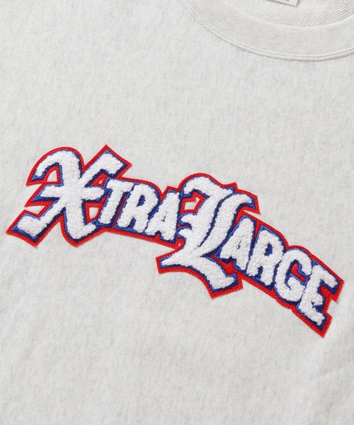 「Champion」 スウェットカットソー X-LARGE アッシュ メンズの画像