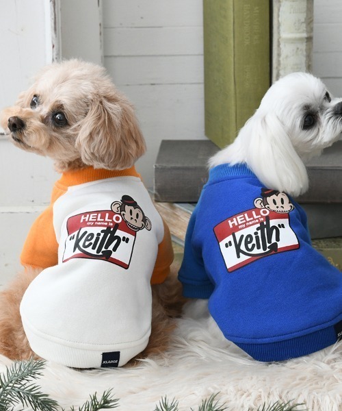 XLARGE 犬 服 XLARGE/キースプルオーバー : ZOZOTOWN Yahoo!店