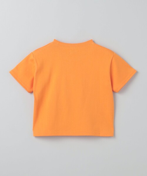 ＜6(ROKU)＞コットン クロップド Tシャツ 6(ROKU)＞コットン クロップド Tシャツ（Tシャツ/カットソー