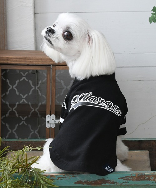 XLARGE 犬 服 XLARGE/ベースボールシャツ : ZOZOTOWN Yahoo!店