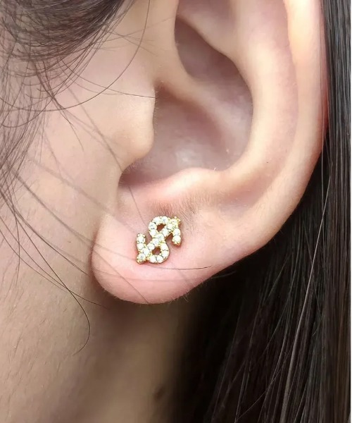 ピアス ＄柄ピアス ドル柄ピアス(BDS) メンズ レディース | VIBGYOR | 04