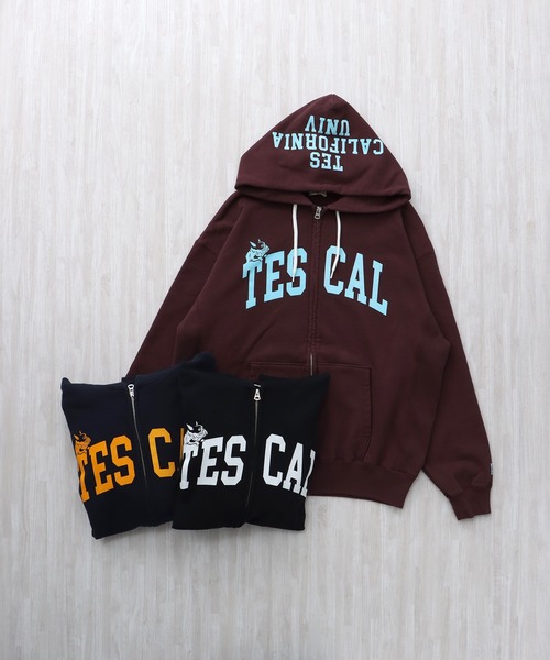 The Endless Summer（エンドレスサマー） パーカー TES COLLEGE SWEAT