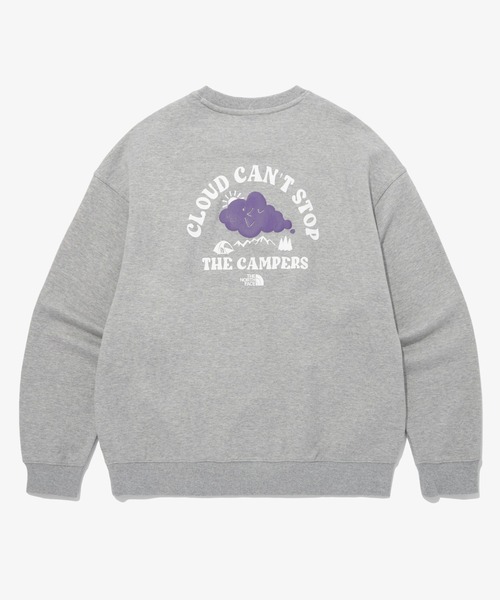 「THE NORTH FACE」 スウェットカットソー M グレー メンズ