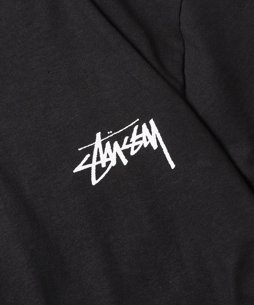 STUSSY（ステューシー） tシャツ LOW TIDE TEE Tシャツ メンズ