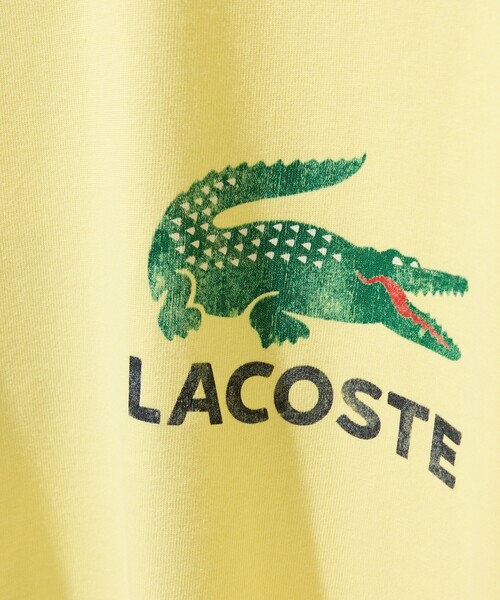 LACOSTE（ラコステ） tシャツ VINTAGE LOGO TEE / ビンテージロゴT