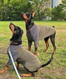 犬服・アクセサリー green GREEN BOWL（グリーンボウル） 犬 服 「GREEN BOWL」オリジナル