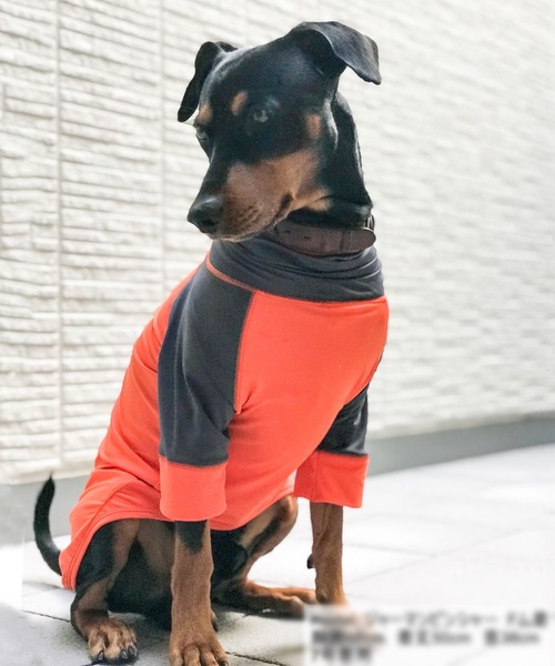 GREEN BOWL（グリーンボウル） 犬 服 「GREEN BOWL」オリジナル