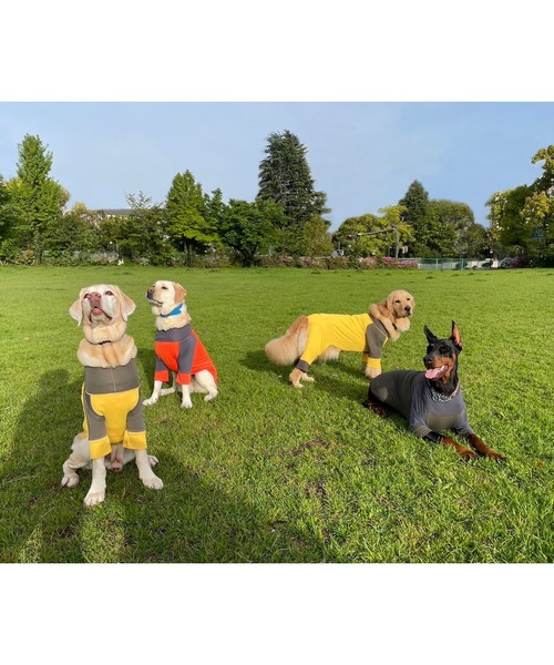 GREEN BOWL（グリーンボウル） 犬 服 「GREEN BOWL」オリジナル