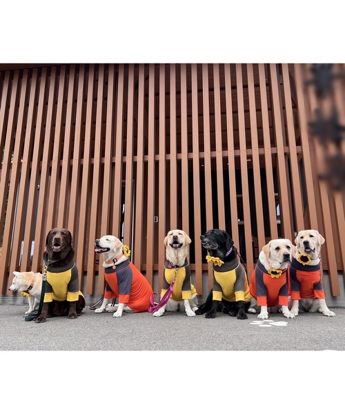 GREEN BOWL（グリーンボウル） 犬 服 「GREEN BOWL」オリジナル