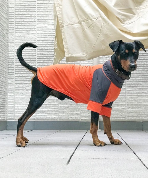 GREEN BOWL（グリーンボウル） 犬 服 「GREEN BOWL」オリジナル