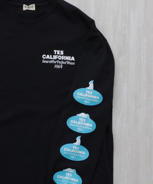 The Endless Summer（エンドレスサマー） tシャツ TES OVAL LOGO PT 