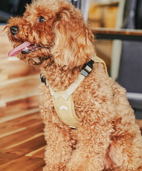 Mary Wyatt レザーチェーンハーネス Mary Wyatt London - Mina AppleSkin Leather Chain Harness