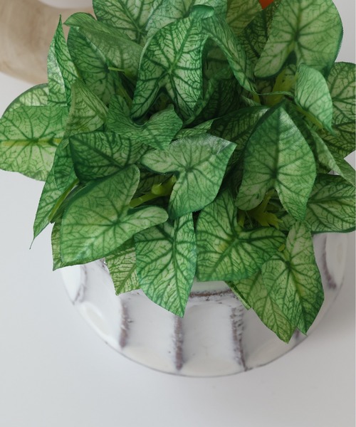 emesuelee 花瓶 フェイクグリーン ポット アロエ シンゴニウム