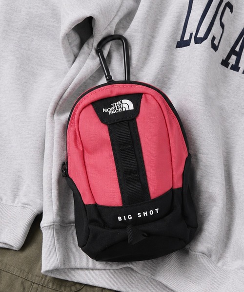 THE NORTH FACE（ザ ノースフェイス） ノースフェイス ポーチ 「THE