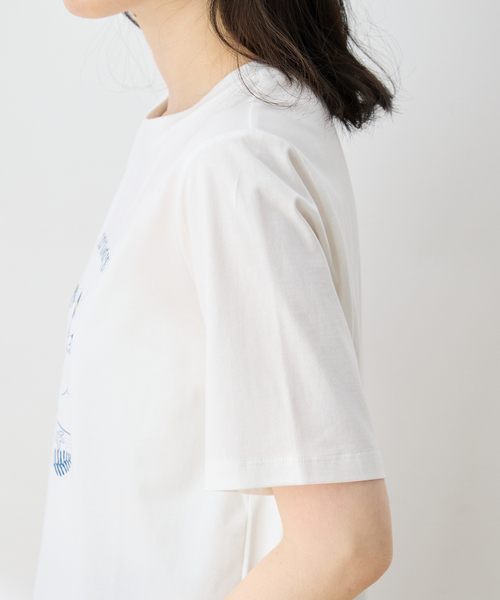 DECOY SINCE 1981 tシャツ 半袖 ひやさらプレミアムコイ君 Tシャツ