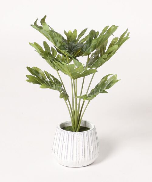 Fiesta Millennium Ⅲ ライムグリーン 花瓶 emesuelee 花瓶 フェイクグリーン ポット コウモリラン モンステラ