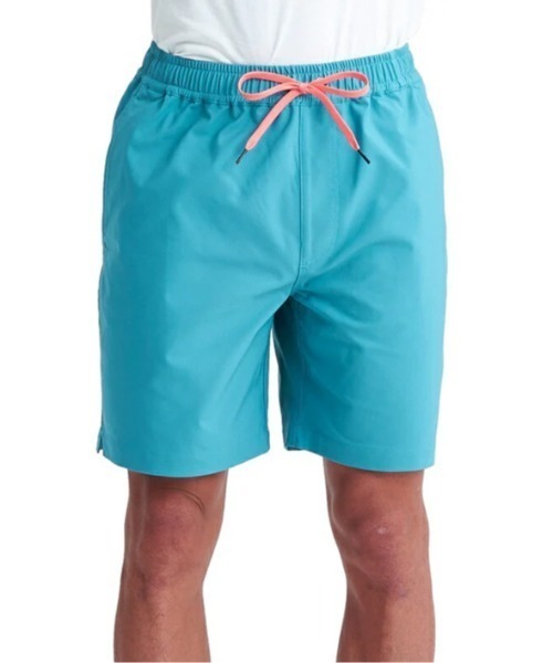 Quiksilver パンツ JP STANDARD SHORTS/クイックシルバー