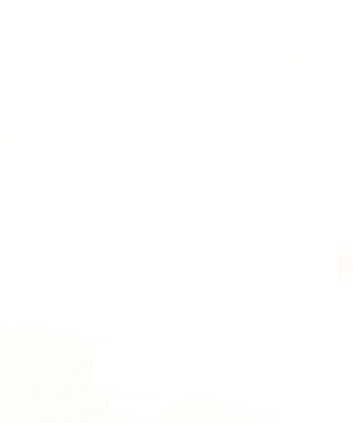 ブラウス シャツ JACQUARD SALT SHRINKAGE レディース roar guns ブラウス シャツ JACQUARD SALT SHRINKAGE レディース