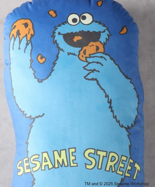 SESAME STREET - セサミストリート　激レア　ロングクッション 61Ib2wfzLKL._AC_SY200_QL15_.jpg