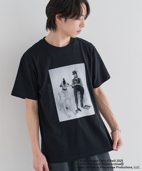 フォロ値【新品未使用タグ付き】 DAVID BOWIE Tシャツ b24a7741a5dc7abfd6f2de79446bb3