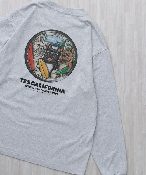 The Endless Summer（エンドレスサマー） tシャツ TES 4BUHI BOARD