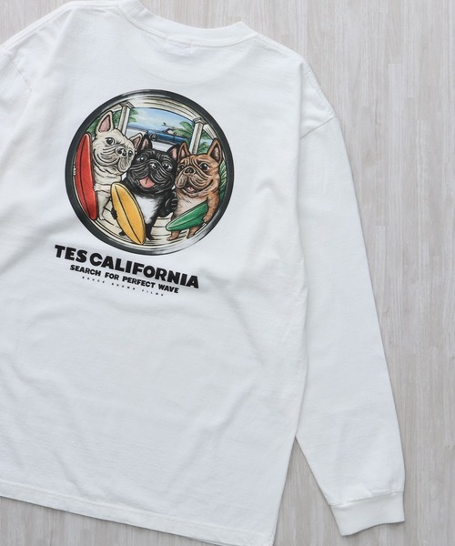 The Endless Summer（エンドレスサマー） tシャツ TES 4BUHI BOARD