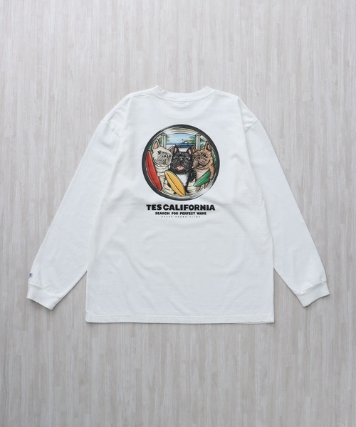 The Endless Summer（エンドレスサマー） tシャツ TES 4BUHI BOARD