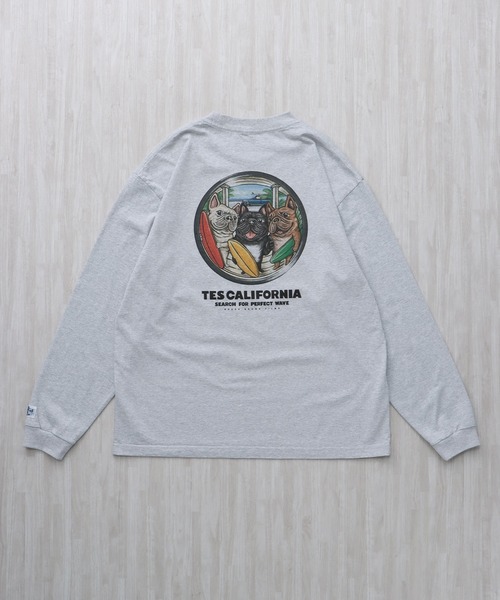 The Endless Summer（エンドレスサマー） tシャツ TES 4BUHI BOARD