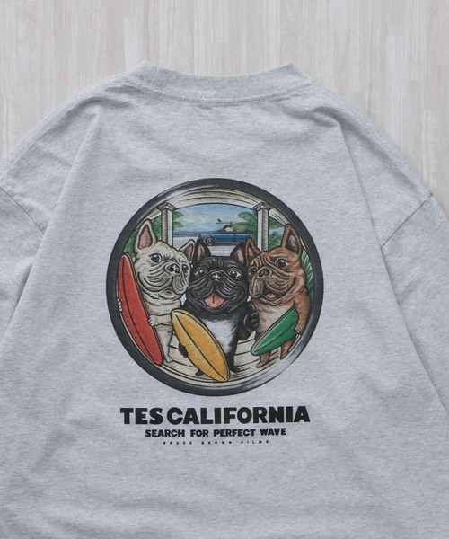 The Endless Summer（エンドレスサマー） tシャツ TES 4BUHI BOARD