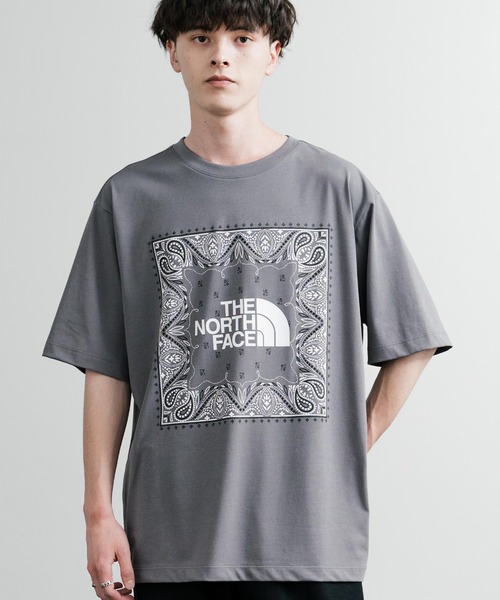 tnf-l-bsl-zou.jpg