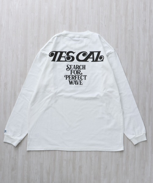 The Endless Summer（エンドレスサマー） tシャツ TES MALIBU GIRL 