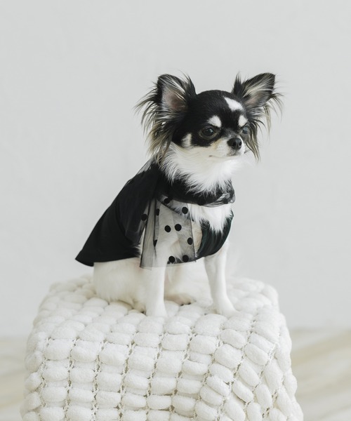 オーダーメイド犬服　　キャミソール 犬 服 ドットチュールキャミソール : ZOZOTOWN Yahoo!店 - 通販