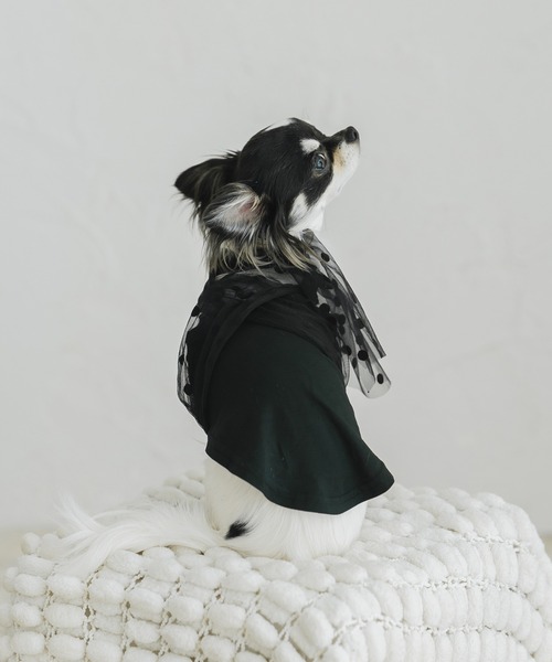 ハンドメイド♡犬服 リボンのチュール重ねバルーンキャミワンピース 犬 服 ドットチュールキャミソール : ZOZOTOWN Yahoo!店 - 通販