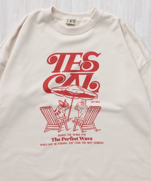 The Endless Summer（エンドレスサマー） トレーナー スウェット TES