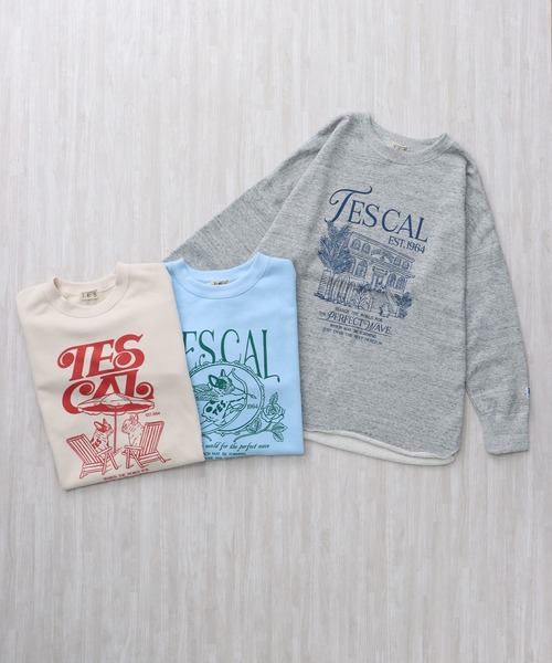 The Endless Summer（エンドレスサマー） トレーナー スウェット TES