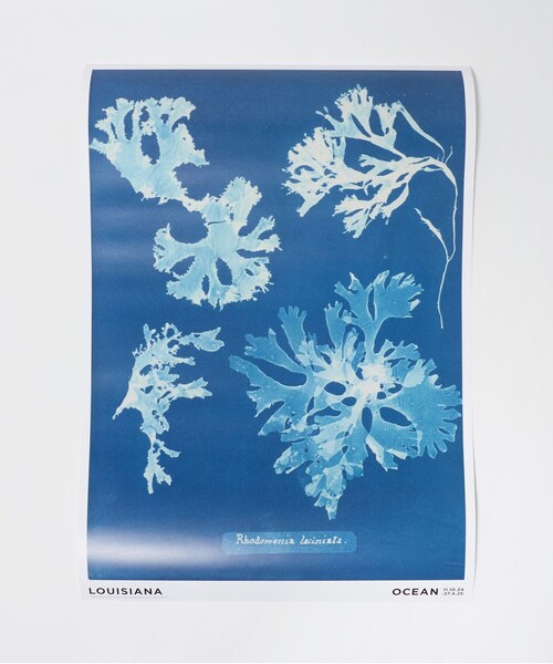 ポスター 「LOUISIANA MUSEUM OF MODERN ART」POSTERS A2 : ZOZOTOWN