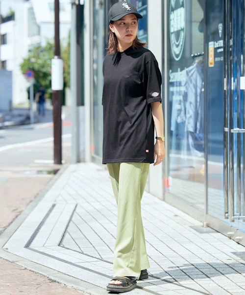 DICKIES☆ストライプ モノロゴ 半袖Tシャツ ankoROCK tシャツ a.p.o.v. -ankoROCK's select- グラフィック