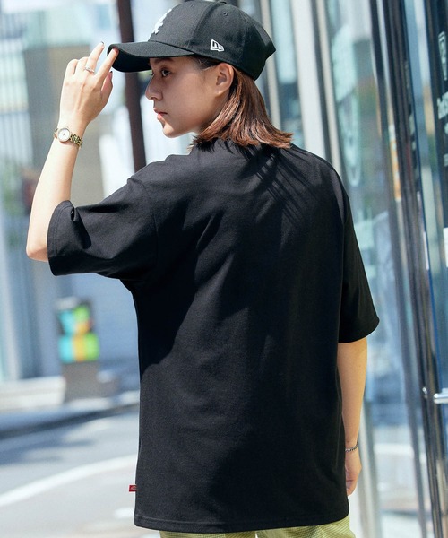 DICKIES☆ストライプ モノロゴ 半袖Tシャツ ankoROCK tシャツ a.p.o.v. -ankoROCK's select- グラフィック