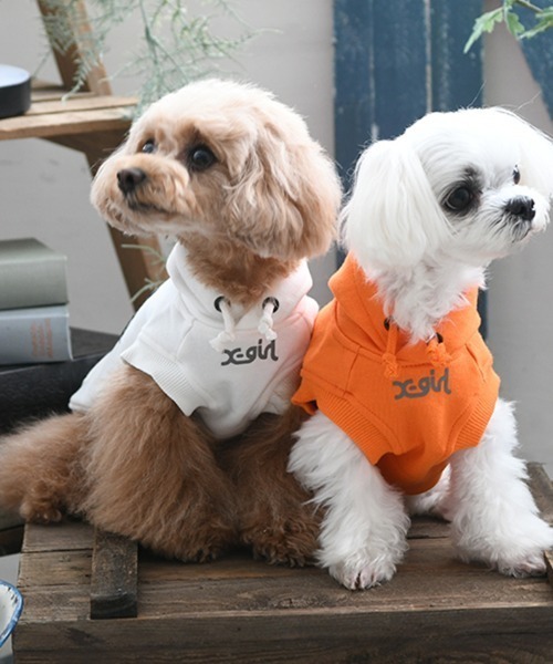 X-girl（エックスガール） 犬 服 X-girl/ホライゾンミルズロゴ