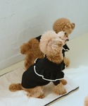 犬 服 「DOG」マシュマロフリルニット/リン...の詳細画像3