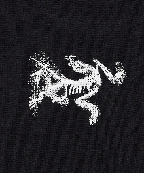 ARC'TERYX（アークテリクス） tシャツ Kragg SL Cotton Bird Tile LS M