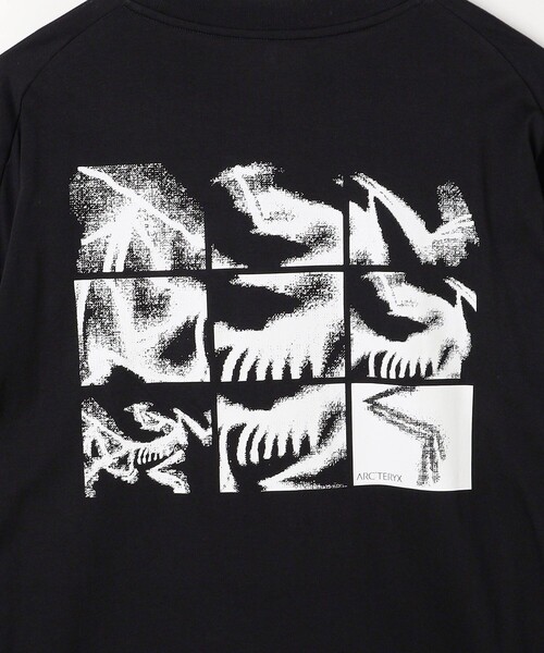 ARC'TERYX（アークテリクス） tシャツ Kragg SL Cotton Bird Tile LS M