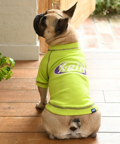 X-girl（エックスガール） 犬 服 X-girl/ステッチロゴプルオーバー