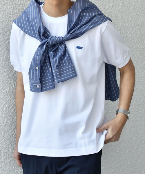 SHIPS any ラコステTシャツ SHIPS any別注】LACOSTE: ワンポイント ロゴ ピケ クルーネック