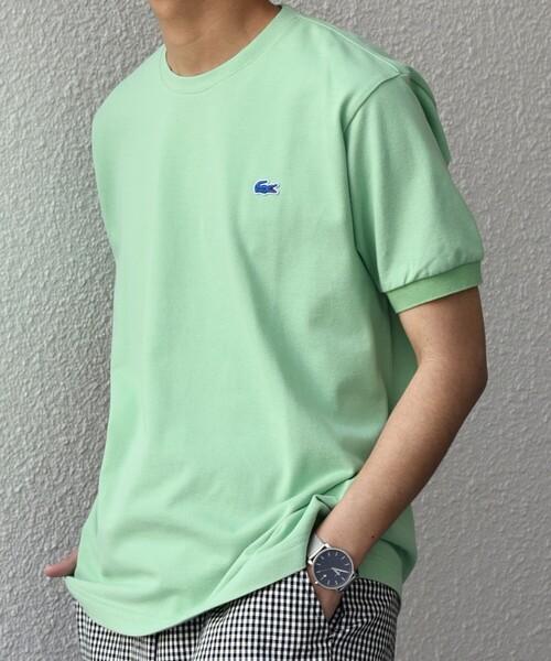 SHIPS any ラコステTシャツ SHIPS｜【SHIPS any別注】LACOSTE:<洗濯機可能>PIQUE クルー